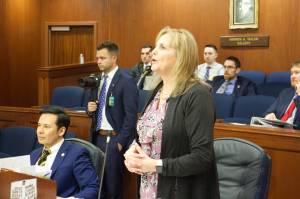 Rep. DeLena Johnson, R-Palmer, co-chair of the House Finance Committee, speaks in favor of an amendment to restore partial funding for a single Department of Law employee during a 45-minute debate on the proposal Tuesday. Such debates resulted in lots of discussion, but few changes in the Houses proposed budget for next year. (Mark Sabbatini / Juneau Empire)