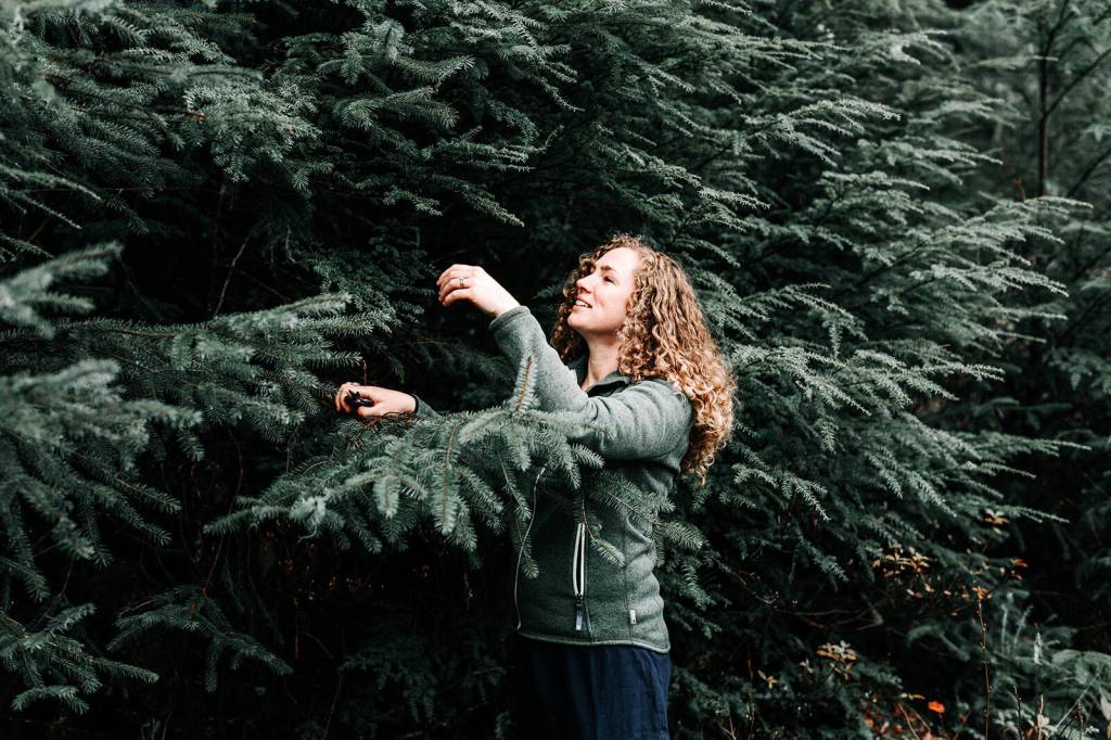 Angie Flickinger harvests spruce tips in Wrangell. (Courtesy Photo / Asia Dore Photography)