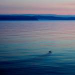 The American island of Little Diomede, Alaska, left, and on the right, the Russian island of Big Diomede, are seen from the Finnish icebreaker MSV Nordica in the Bering Strait, on July 14, 2017. The Alaska Air National Guard on April 3, 2023, traveled nearly 660 miles to rescue a pregnant woman on a small island two miles from Russia who had severe abdominal pains, a reflection of the challenges patients face in the nations largest state where the most remote areas have no roads and hospitals can be hundreds of miles away. (AP Photo / David Goldman)