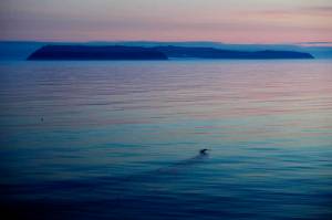 The American island of Little Diomede, Alaska, left, and on the right, the Russian island of Big Diomede, are seen from the Finnish icebreaker MSV Nordica in the Bering Strait, on July 14, 2017. The Alaska Air National Guard on April 3, 2023, traveled nearly 660 miles to rescue a pregnant woman on a small island two miles from Russia who had severe abdominal pains, a reflection of the challenges patients face in the nation's largest state where the most remote areas have no roads and hospitals can be hundreds of miles away. (AP Photo / David Goldman)