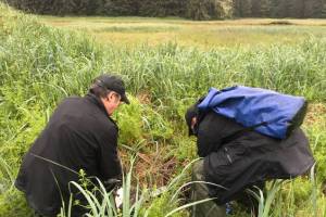 Guy Archibald collects clam shell specimens on Admiralty Island. Archibald was the lead author of a recently released study that linked a dramatic increase of lead levels in Hawk Inlet’s marine ecosystem and land surrounding it on Admiralty Island to tailings released from the nearby Hecla Greens Creek Mine. (Courtesy Photo / John Neary)