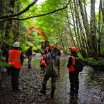 A U.S. Forest Service crew works on a riverbed project in the Tongass National Forest. (U.S. Forest Service)