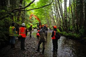 A U.S. Forest Service crew works on a riverbed project in the Tongass National Forest. (U.S. Forest Service)