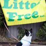 Kodachrome, the black-and-white dog with a colorful personality, sits near a Litter Free Inc. banner as volunteers collect bags ahead of the communitywide cleanup on Earth Day.