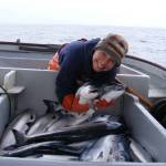 Shoreline Wild Salmon staff Adrienne Antoni poses with wild salmon caught individually for the day aboard the TommyL II. (Courtesy Photo / Joe Emerson)