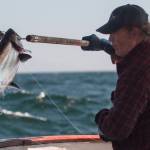 Captain Joe Emerson catches a salmon aboard his boat the TommyL II using a line-caught method, also known as trolling for his co-owned Southeast business Shoreline Wild Salmon. Shoreline was recently recognized by Good Housekeeping Institute Nutrition Lab as one of the best seafood delivery services currently in business. (Courtesy Photo / Joe Emerson)