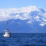 TommyL II sails the open waters of Alaska in search of wild salmon for the Southeast Alaska based company Shoreline Wild Salmon, which was recently recognized for its excellence in quality by Good Housekeeping Institute Nutrition Lab. (Courtesy Photo / Joe Emerson)