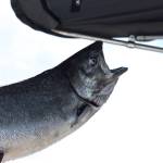 (Ben Hohenstatt / Juneau Empire File)