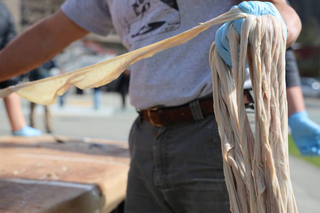Sven Haakanson Jr. spools the small intestine of a Kodiak brown bear while he leads a bear gut processing workshop Saturday afternoon at the Alaska State Museum. In its final form, Haakanson said the gut will be used to create a traditional Indigenous raincoat. (Clarise Larson / Juneau Empire)