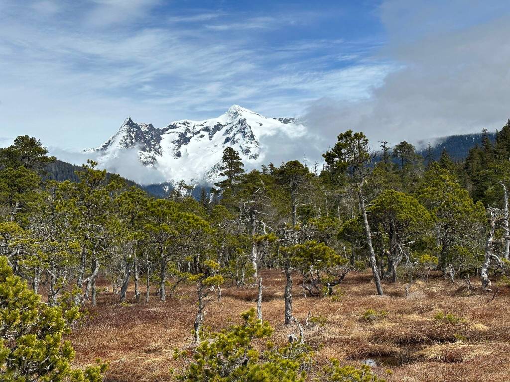 This photo was taken along Point Bridget Trail in late April. (Courtesy Photo / Deana Barajas)