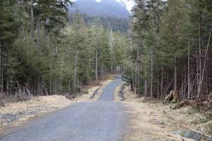 Fallen trees line the beginning of the West Douglas Pioneer Road in late April. On Monday evening the City and Borough of Juneau Assembly voted to reject a proposal for the second time from a local company that sought to gain access to provide electric-assisted bicycle tours on the city-owned gravel road. (Clarise Larson / Juneau Empire File)