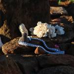 A collection of items dedicated to the ancestors of the lands that hold the HKO farms. (Courtesy Photo / Lauren Tanel)