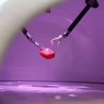 A Starburst is unwrapped by the Da Vinci Xi Robotic Surgery System under the control of Eugene Rehfield, 10, who was one of the many residents that tried out the machine at the Bartlett Regional Hospital lobby Monday evening. (Clarise Larson / Juneau Empire)