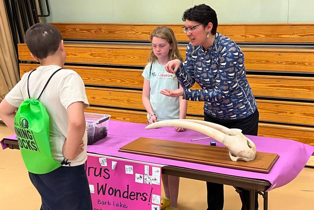 Barb Lake hosts the Alaska Department of Fish and Game walrus wonders at Sayéik: Gastineau Community School on Thursday during this years STEAM event, giving students an up close and personal encounter with a real walrus tusk. (Jonson Kuhn / Juneau Empire)