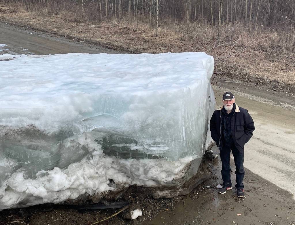 Eagle resident Steve Hamilton stands next to a block of Yukon River ice that the river lifted onto the 5-mile road between the town of Eagle and Eagle Village during an early river surge on May 12, 2023. (Courtesy Photo / Ned Rozell)