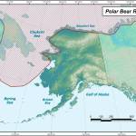 The range of polar bears on land and sea ice around Alaska. (Alaska Department of Fish and Game)