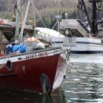 The City and Borough of Juneau Harbormaster Enforcement vessel drives past the Dusky Rock which sits at Aurora Harbor. The vessel was towed there from Sandy beach Friday evening after three people died within a three-day period aboard the vessel while anchored offshore. (Clarise Larson / Juneau Empire)