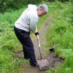 Kim Kiefer, a former city manager and Parks and Director for the City and Borough of Juneau, uses a shovel to clear vegetation from the Kingfisher Pond Loop Trail on Saturday. (Mark Sabatini / Juneau Empire)