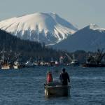 Boats jockey for position minutes before the opening of the Sitka Sound sac roe herring fishery on March 23, 2014, in Sitka, Alaska. Sitka is the home port for a charter fishing boat that sank in nearby waters killing three and leaving two lost at sea in late May 2023. The tragedy has put a spotlight on the safety of southeast Alaskas vibrant charter fishing industry and on the port town of Sitka, where charter operators charge thousands of dollars per person for guided fishing trips. (James Poulson/The Daily Sitka Sentinel via AP, File)