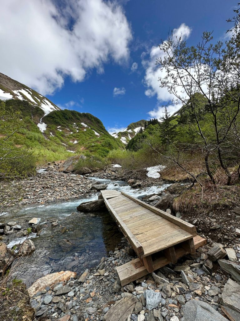 Perseverance Trail on Saturday, June 3. (Courtesy Photo / Deana Barajas)