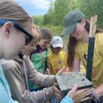 Helpers with the Alaska Songbird Institutes Swallow Ecology Project prepare to capture a black-capped chickadee that is nesting in a swallow box at Creamers Field Migratory Waterfowl Refuge in Fairbanks. Their goal was to place a band on the birds leg and release it. From left are Aurora Brant, Dashell Neibaur, Hazel Sutton, Gunnar Benson and Molly Cable. (Courtesy Photo / Ned Rozell)