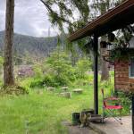 The authors backyard overlooking a forested ridge. (Photo by Peggy Barnhill)