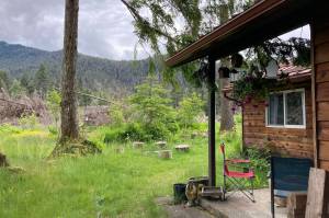 The authors backyard overlooking a forested ridge. (Photo by Peggy Barnhill)