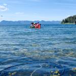 Angoon students paddle their dugout, war-style canoe into Chatham Strait from Front Street on June 19. (Photo by Claire Stremple/Alaska Beacon)