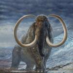 James Havens of Anchorage painted this image of a woolly mammoth that illustrated a cover of Science magazine in which appeared the work of UAFs Matthew Wooller and his colleagues. A life-size version of this painting will soon be on display in the University of Alaska Museum of the North.
