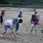 Child pick up sand dollars along Sandy Beach during a community picnic Monday evening. (Therese Pokorney / Juneau Empire)