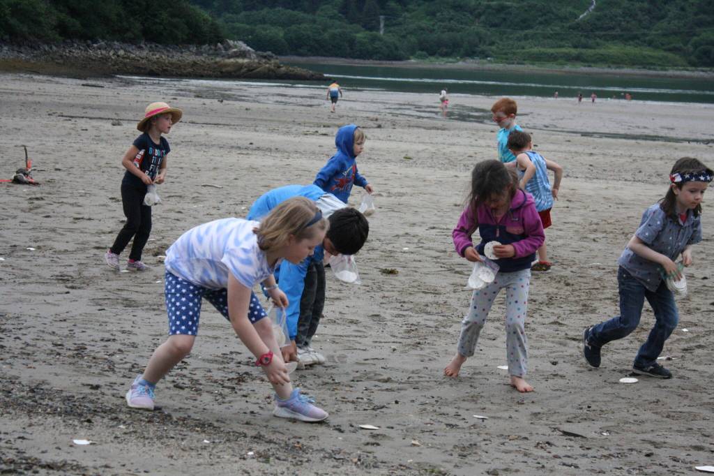 Child pick up sand dollars along Sandy Beach during a community picnic Monday evening. (Therese Pokorney / Juneau Empire)