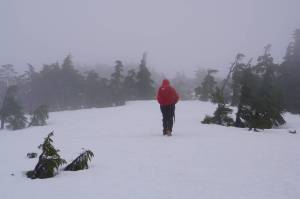 The Alaskan wilderness has been the setting of countless stories which provide inspiration as much as entertainment. (Photo by Jeff Lund)