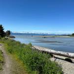 A beach view along the along the Boy Scout Beach Trail on July 8. (Photo by Deana Barajas)