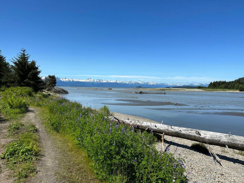 A beach view along the along the Boy Scout Beach Trail on July 8. (Photo by Deana Barajas)