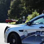 A police car parks near a residence on Riverwood Drive on Friday where Andre P. Lawrence was detained by police officers in connection with the fatal shooting of a 23-year-old man on Cinema Drive on Thursday evening. (Clarise Larson / Juneau Empire)