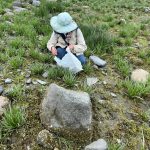 Lorna Woods, the authors mother, harvests goose tongue. (Photo by Vivian Faith Prescott)