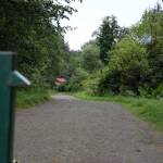 This is a photo of the Treadwell Ditch Trail on South Douglas. On Saturday a teenage boy died after he failed to make it to shore after jumping into the water by the Glory Hole. His body was later recovered Sunday afternoon. (Clarise Larson / Juneau Empire)