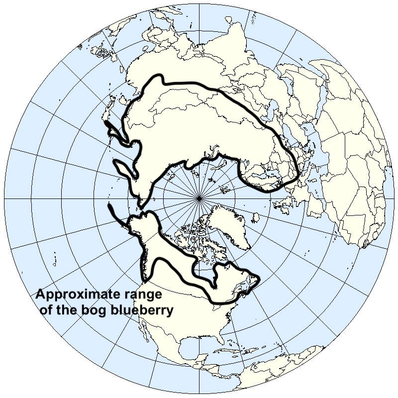 The approximate range of the bog blueberry on Earth, drawn on a base map that was produced by Sean Baker.