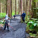 Volunteers work on the intermediate-level trail for the new Thunder Mountain Bike Park on Saturday. The new park, scheduled to be ready to ride early next week, will also initially feature a beginners trail. (Mark Sabbatini / Juneau Empire)
