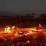 A wildfire burns in Kihei, Hawaii late Wednesday. Thousands of residents raced to escape homes on Maui as blazes swept across the island, destroying parts of a centuries-old town in one of the deadliest U.S. wildfires in recent years. (AP Photo/Ty ONeil)