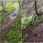 Debris from a small landslide impacted a house on the hillside above Nelson Street on Saturday night, according to Capital City Fire/Rescue. Other homes in the immediate area were evacuated. (Capital City Fire/Rescue)