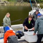 Allison Lihou, John Diamond and Brian Thomason (aboard boat) turn in five salmon, including four scholarship fish, to dock volunteers Jason Bailey (orange jacket) and Bobby Dilg at the Douglas Harbor station during the 77th annual Golden North Salmon Derby on Sunday. (Meredith Jordan / Juneau Empire)