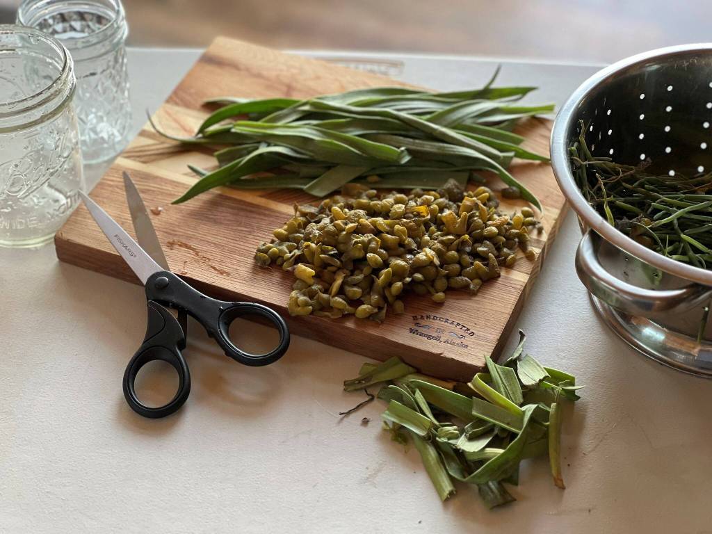 Preparing to pickle beach greens and seaweed. (Photo by Vivian Faith Prescott)