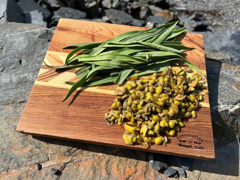 Goose tongue and popweed ready to prepare for pickling. (Photo by Vivian Faith Prescott)