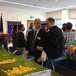 Members of the Glacier Valley Rotary Club clean thousands of ducks that have been in storage for four years in preparation for the annual Juneau Duck Derby scheduled Aug. 26 at Twin Lakes. (Photo courtesy of the Glacier Valley Rotary Club)