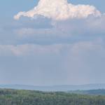 A fire plume rises north of Fairbanks on Aug. 4. (Photo by Daniel Walker)