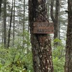 Holding hands along the Treadwell Ditch Trail on Aug. 12. (Photo by Deana Barajas)