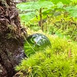 A crystal ball predicts rain is in the future along the Treadwell Ditch Trail on Aug. 12. (Photo by Deana Barajas)