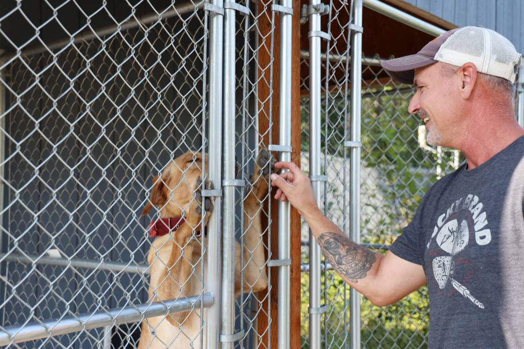 The Juneau Police Departments new narcotics dog Dax jumps up in his kennel for pets from JPD detective and K-9 handler Mike Wise on Wednesday afternoon outside of the Juneau Police Station.