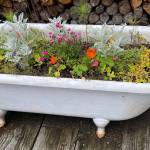 The layout of a garden as art near Evergreen Cemetery on Aug. 18. (Photo by Denise Carroll)